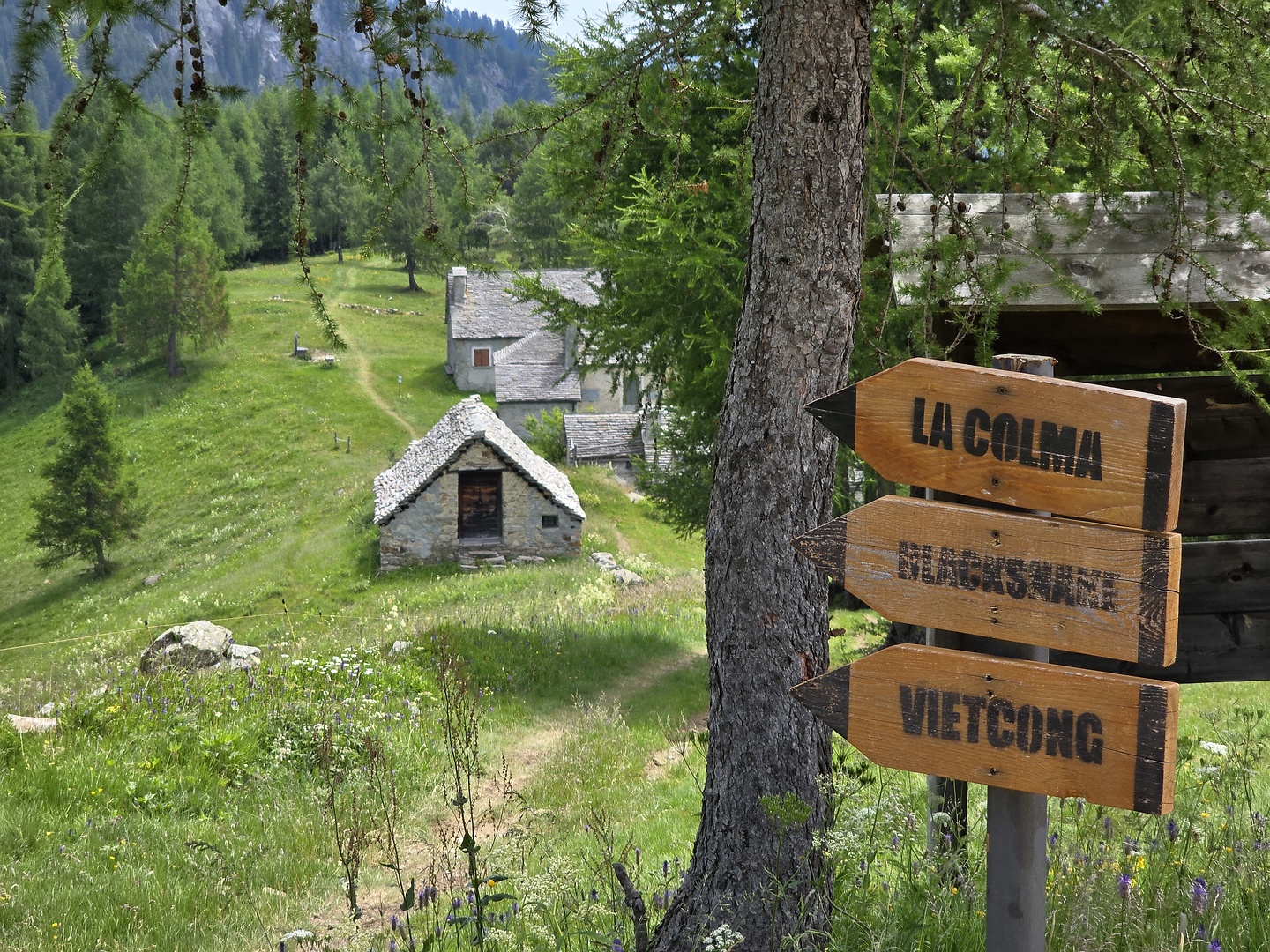 centovalli-bikepark3.jpg