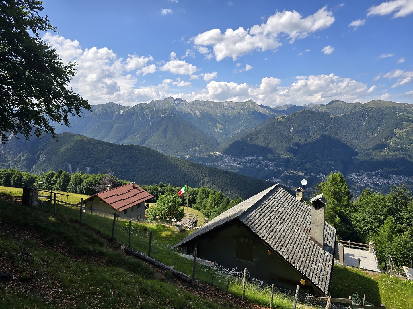 centovalli-nigritella1.jpg