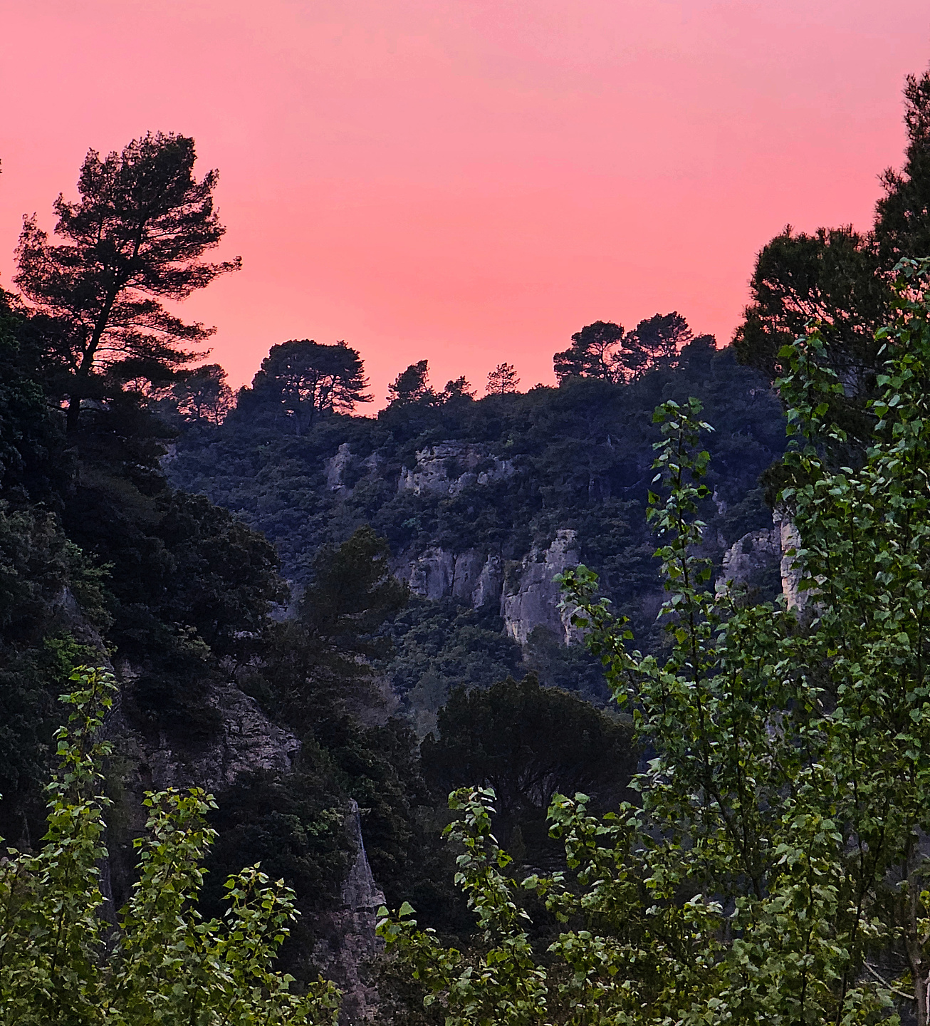 chateaudouble-camp10.jpg
