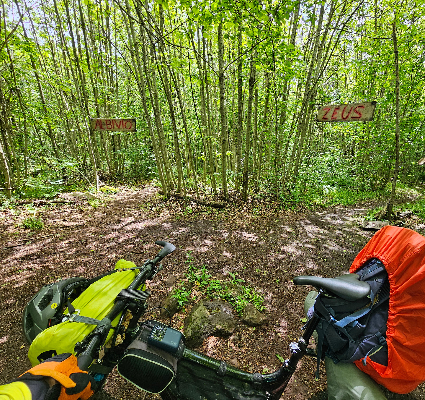 cimino-trail1.jpg