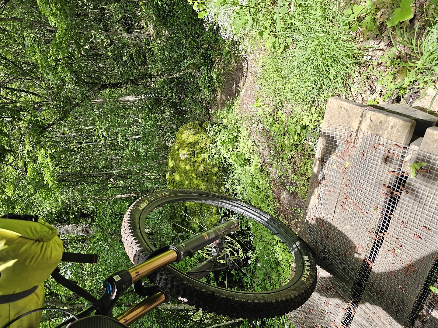 cimino-trail10.jpg