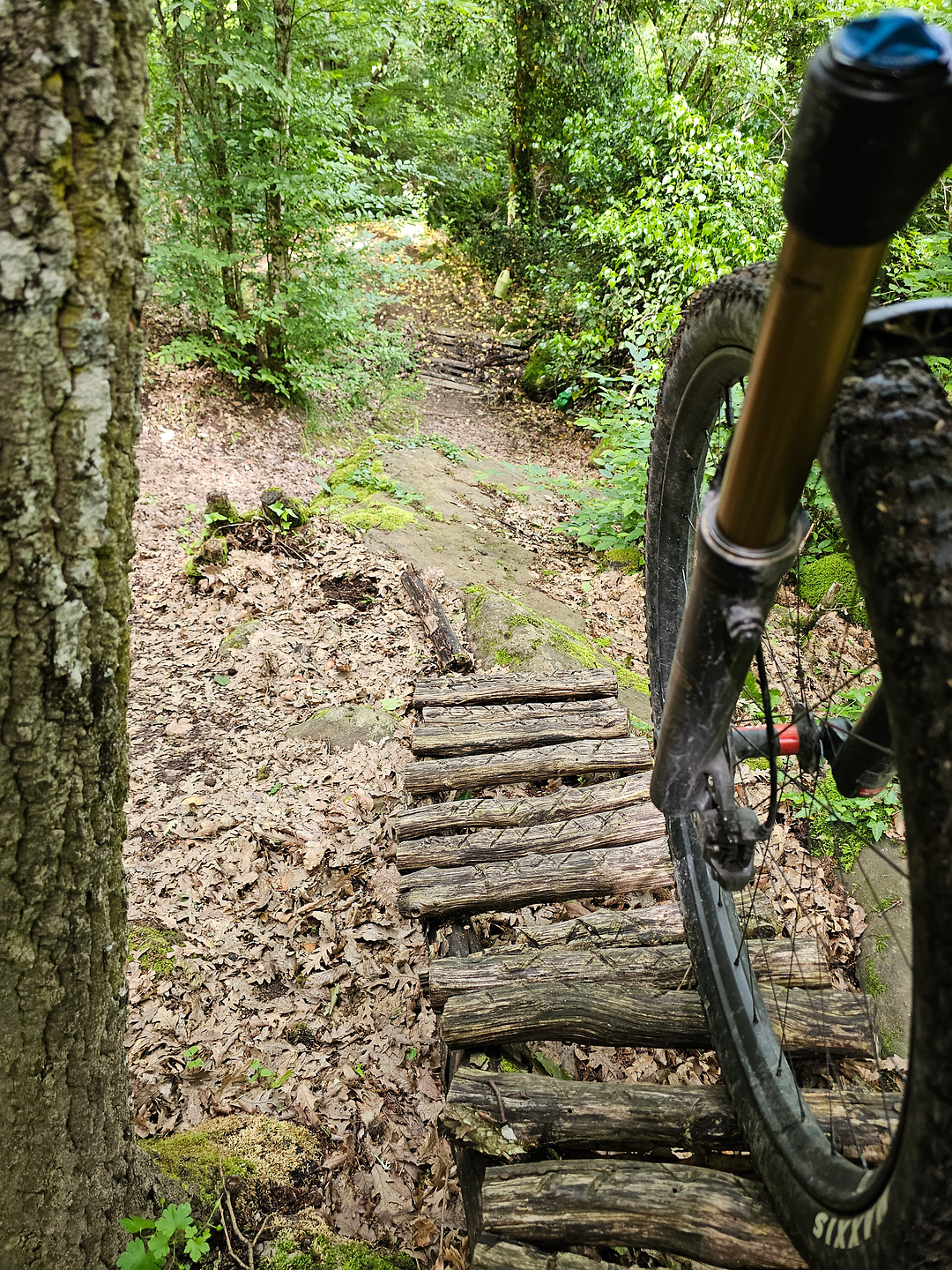 cimino-trail11.jpg