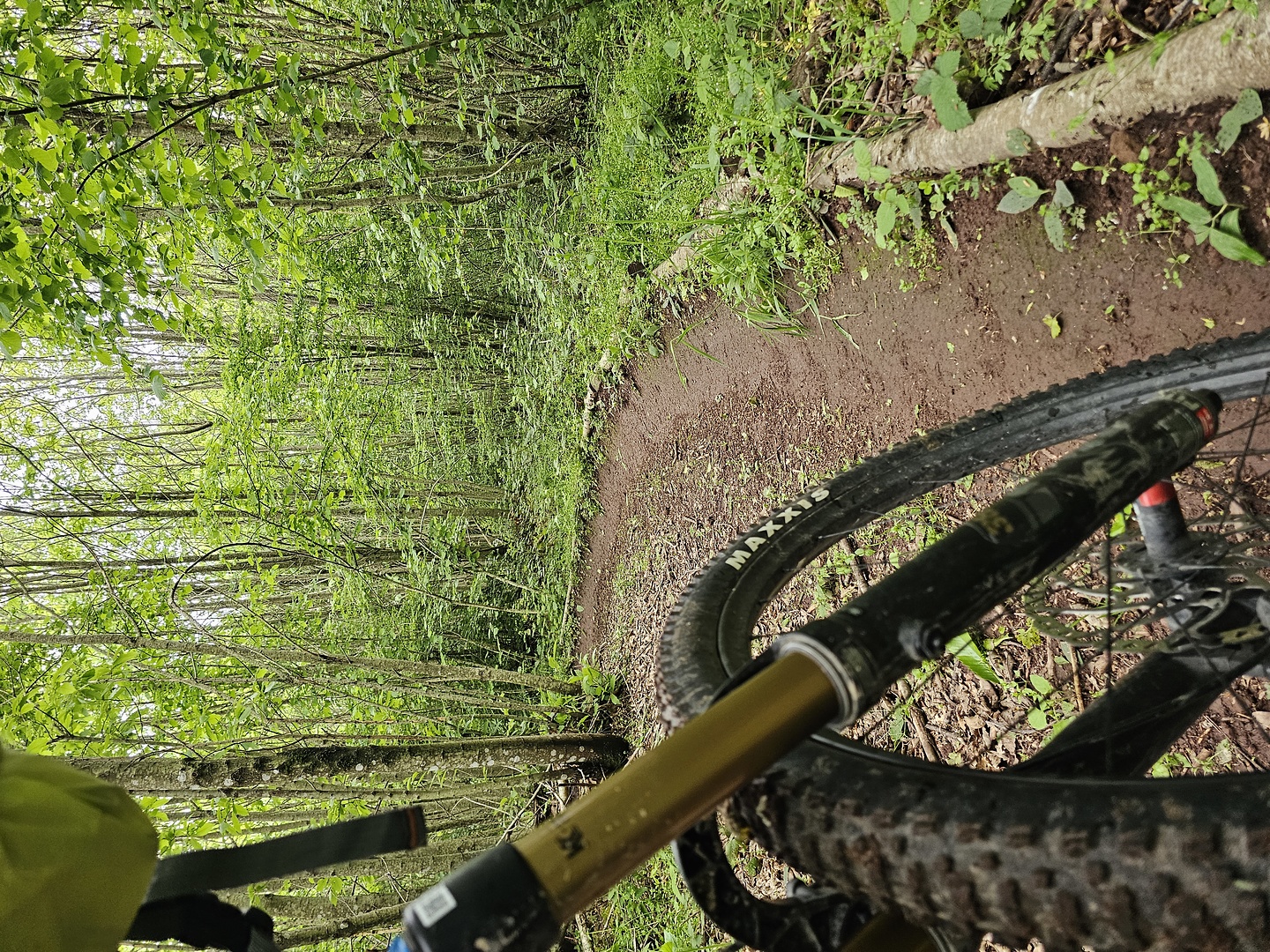 cimino-trail3.jpg