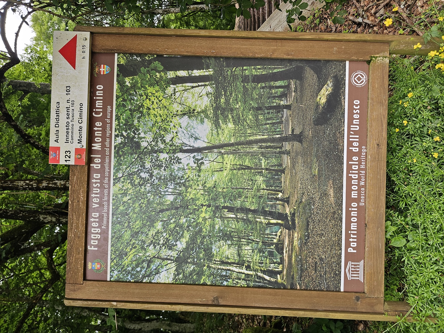 cimino-trail7.jpg