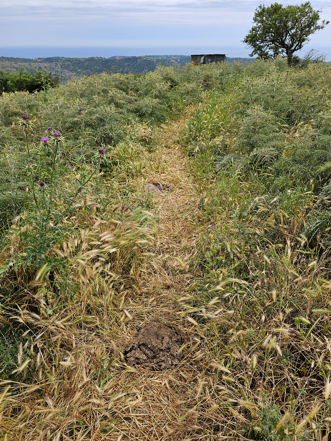 civitavecchia-trail3.jpg