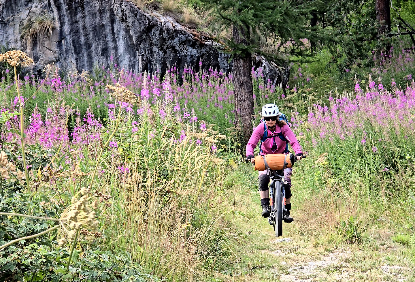 colpisse-trail4.jpg