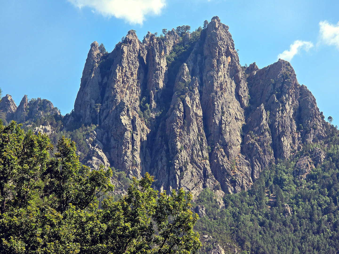 colverde-uphill1.jpg