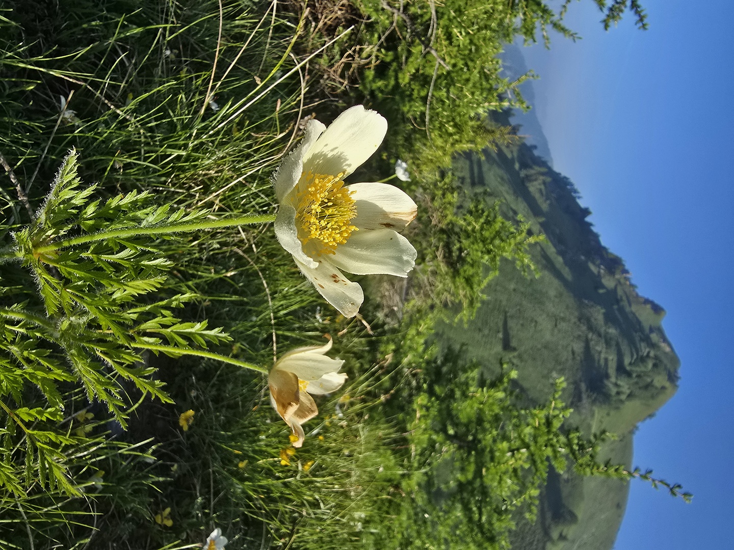 crocedomini-rifugio6.jpg