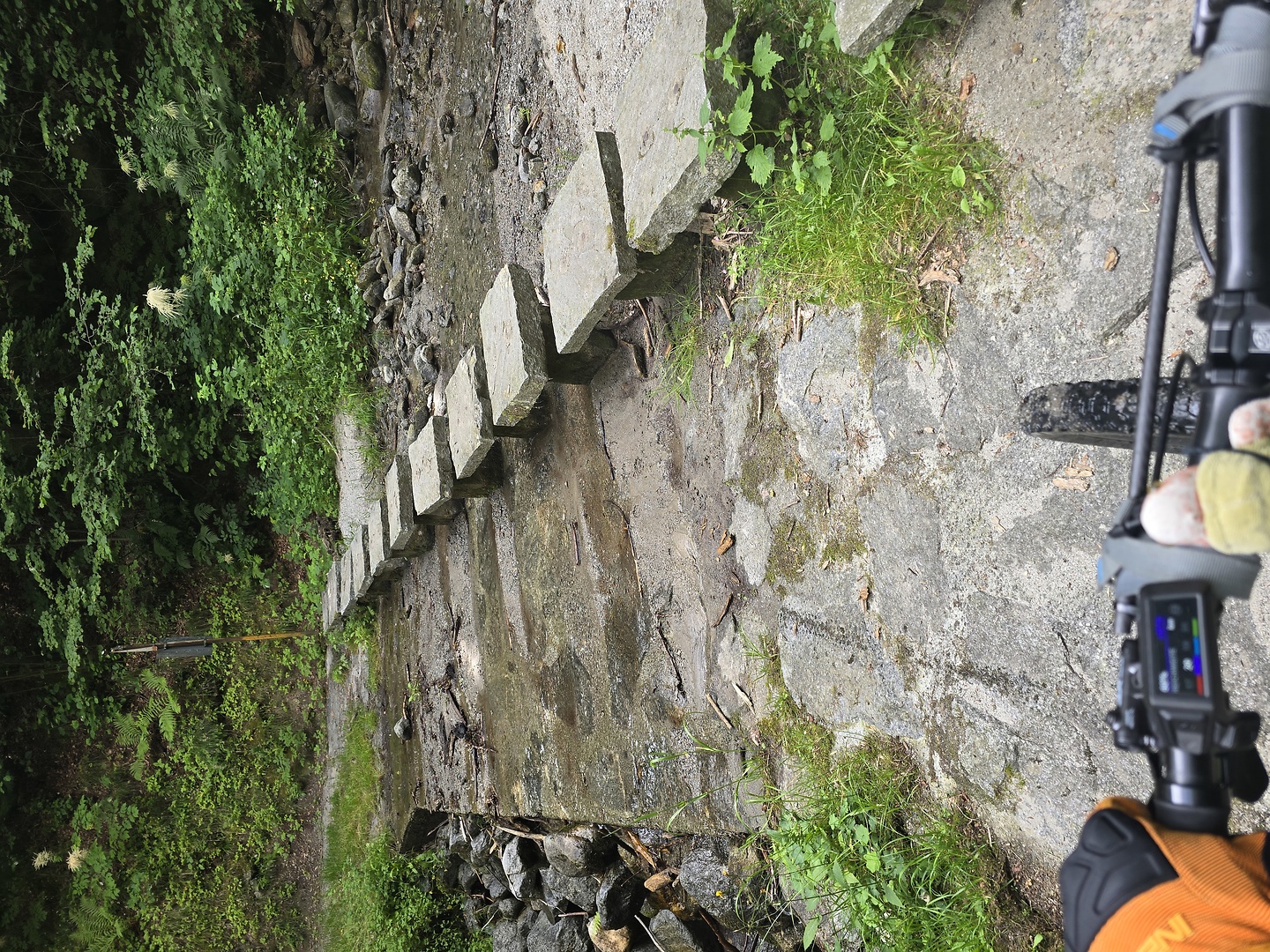 croveo-trail11.jpg