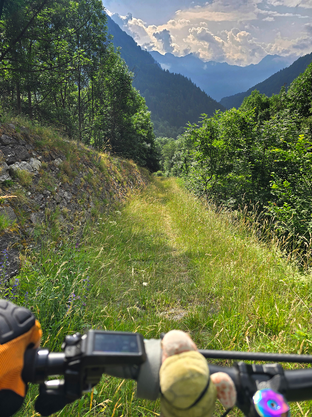 croveo-trail3.jpg