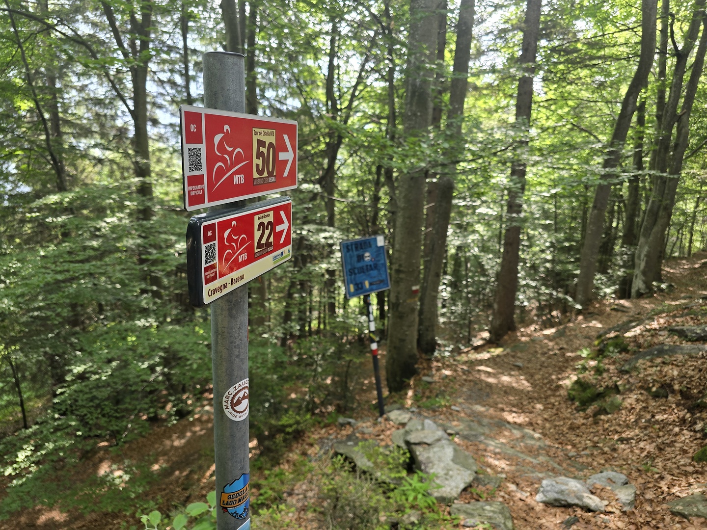 croveo-trail4.jpg