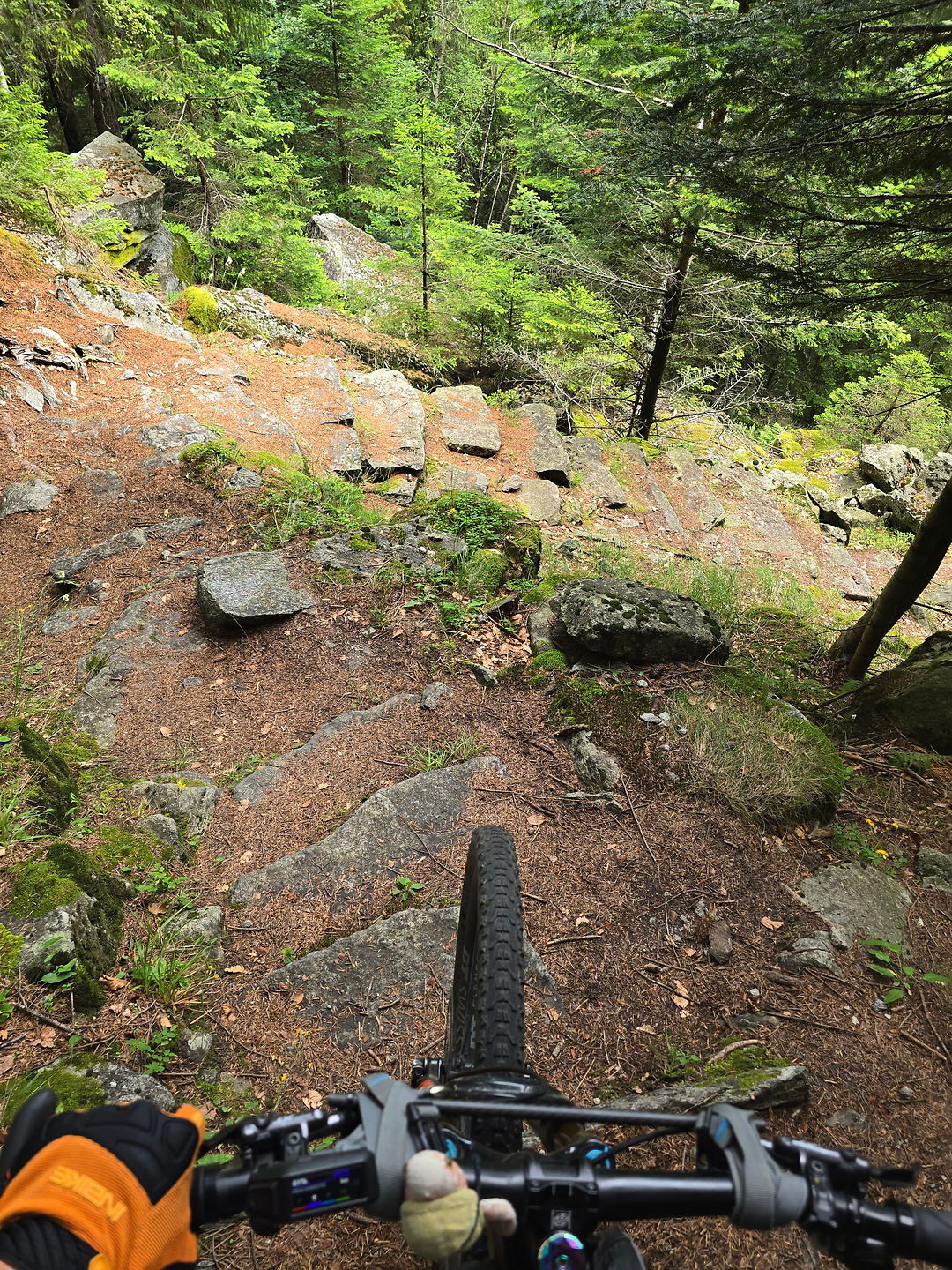 croveo-trail6.jpg