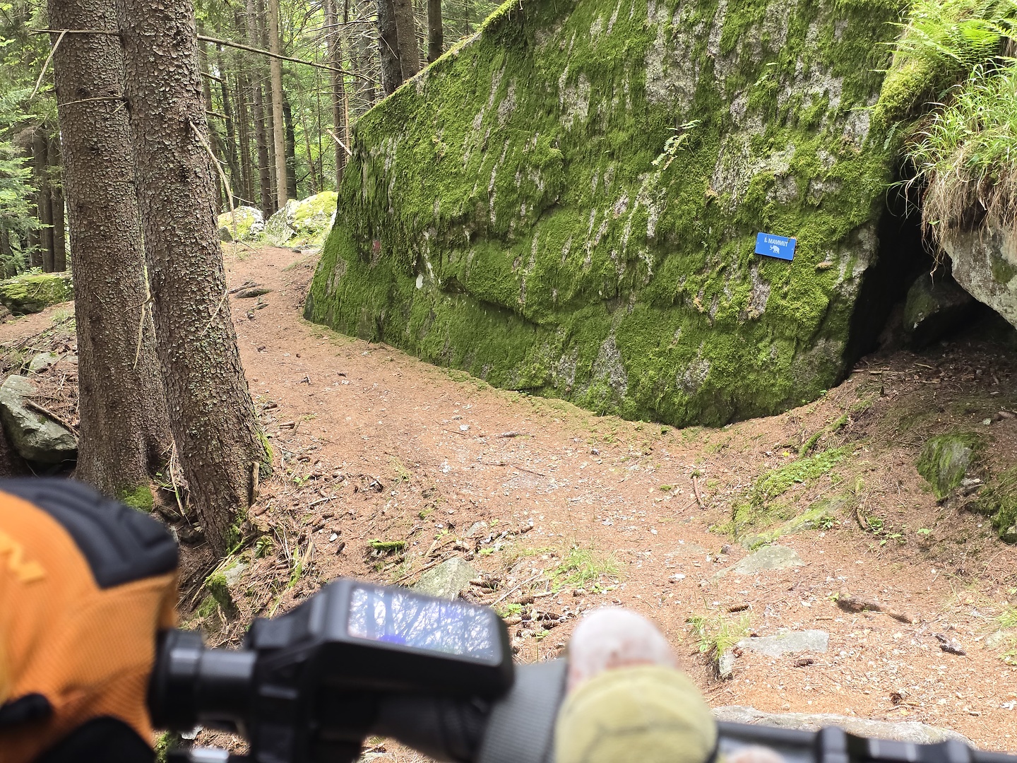 croveo-trail7.jpg