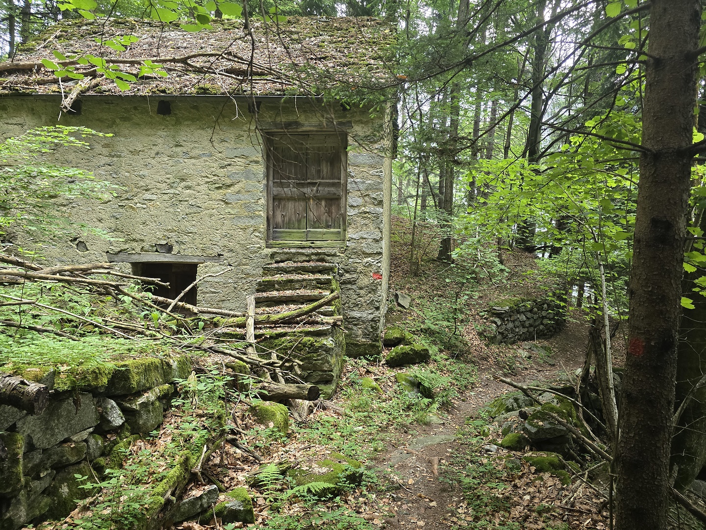 croveo-trail9.jpg