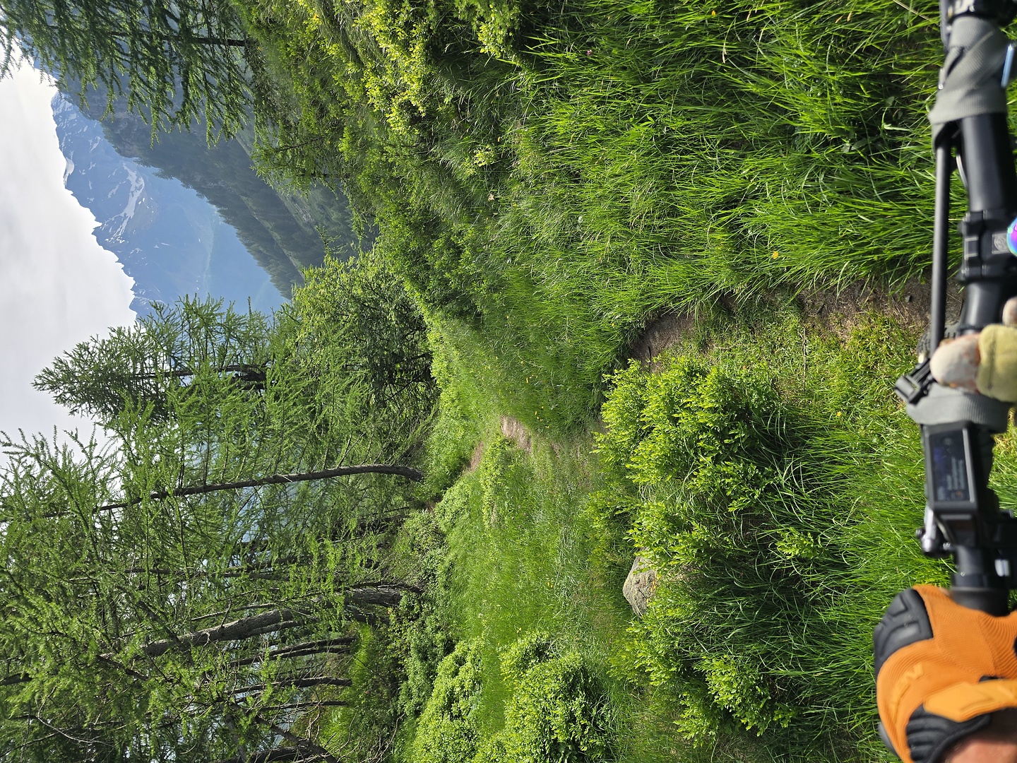 devero-trail2.jpg