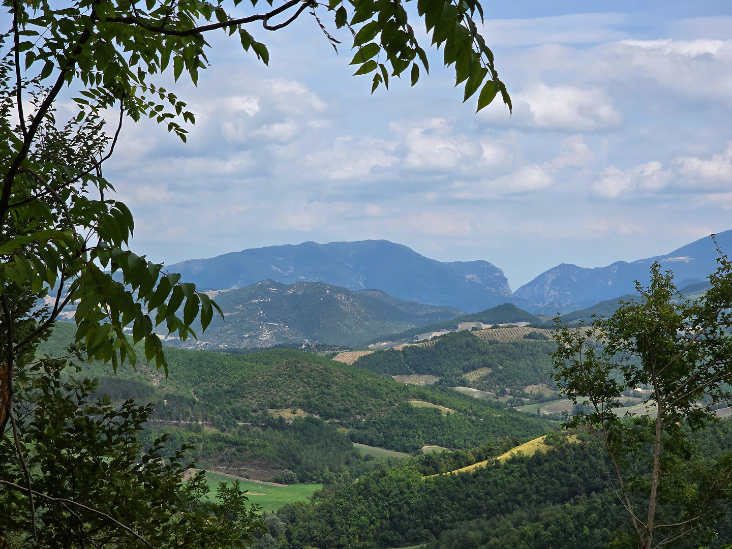 fermignano-road2.jpg