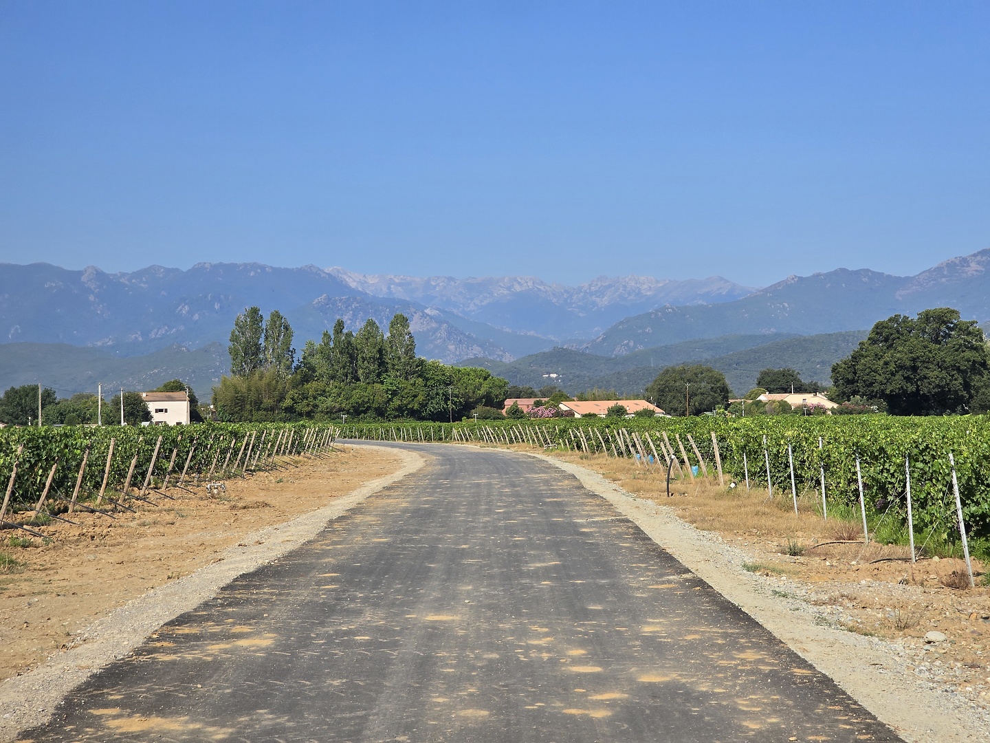 fiumorbu-road1.jpg