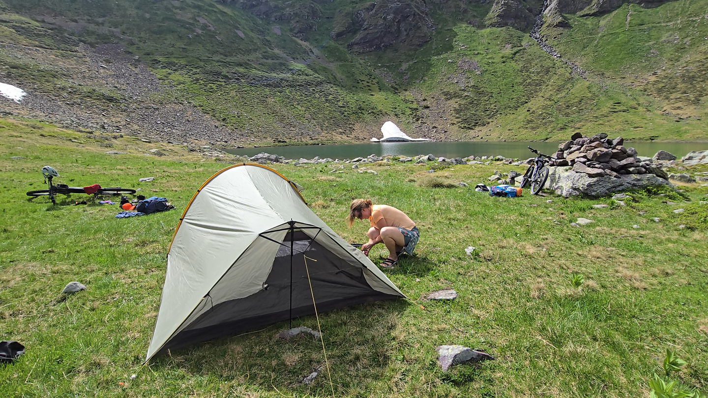 gatto-camp3.jpg