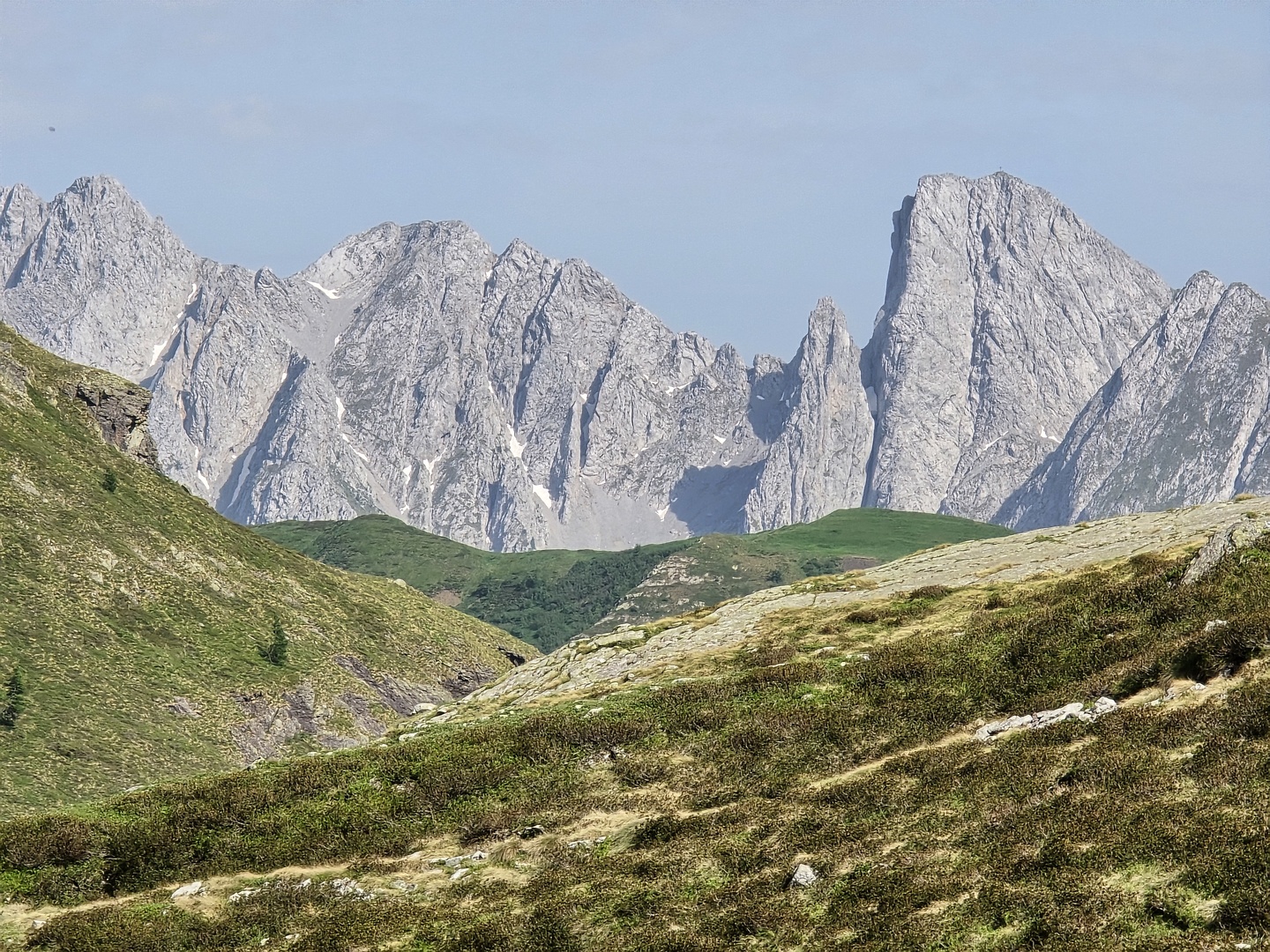 gatto-camp7.jpg