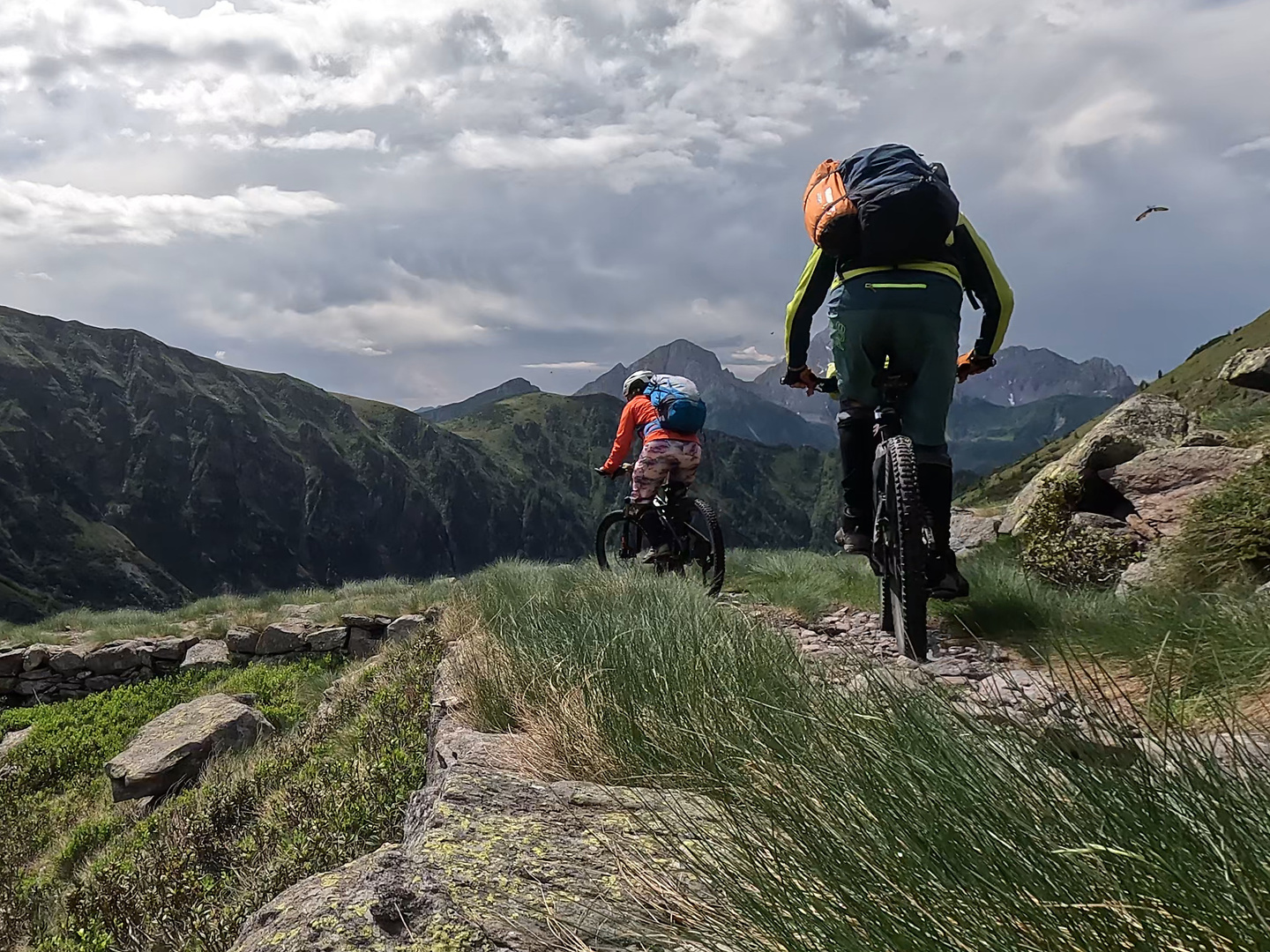 gatto-trail12.jpg