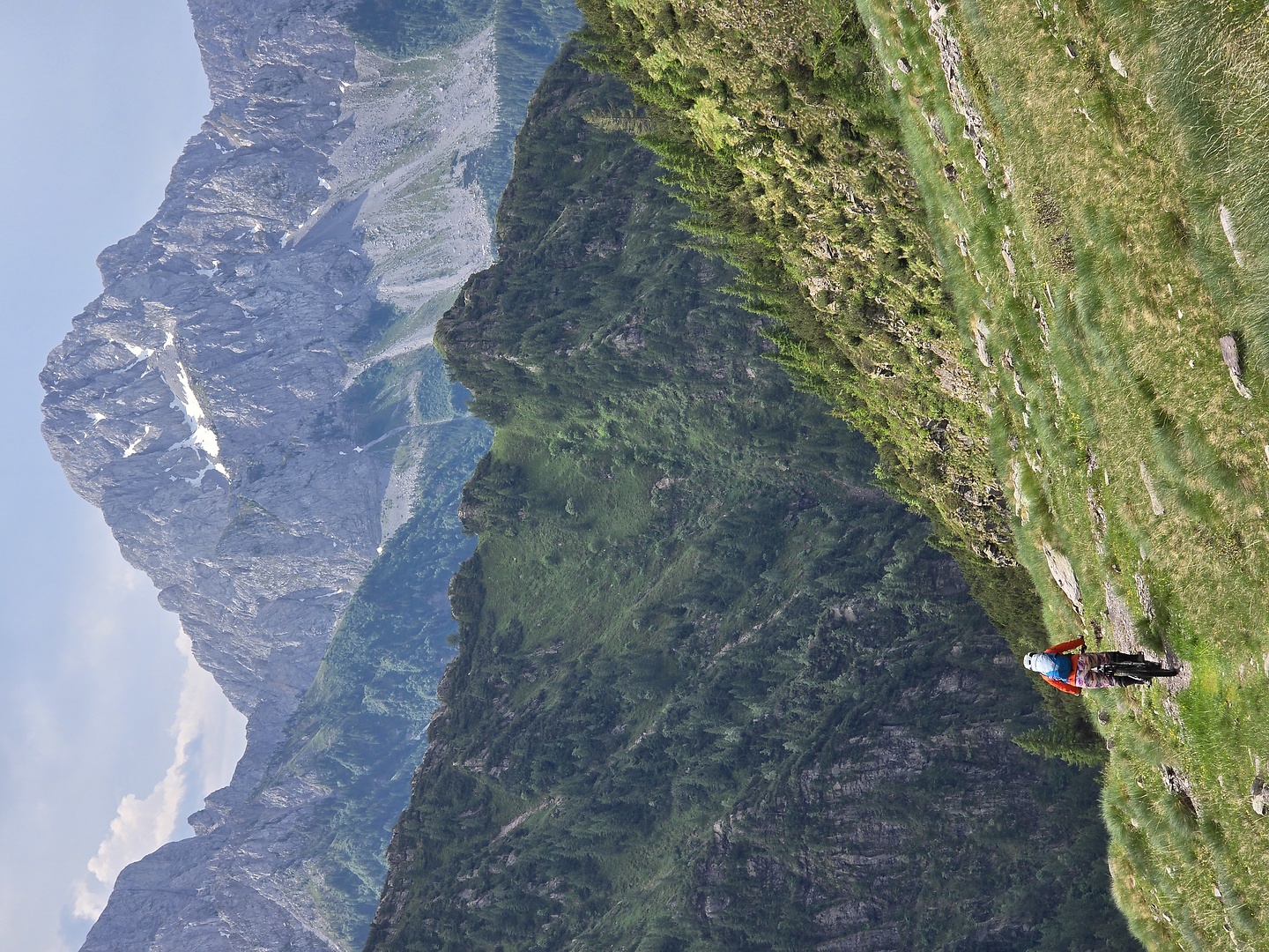 gatto-trail14.jpg