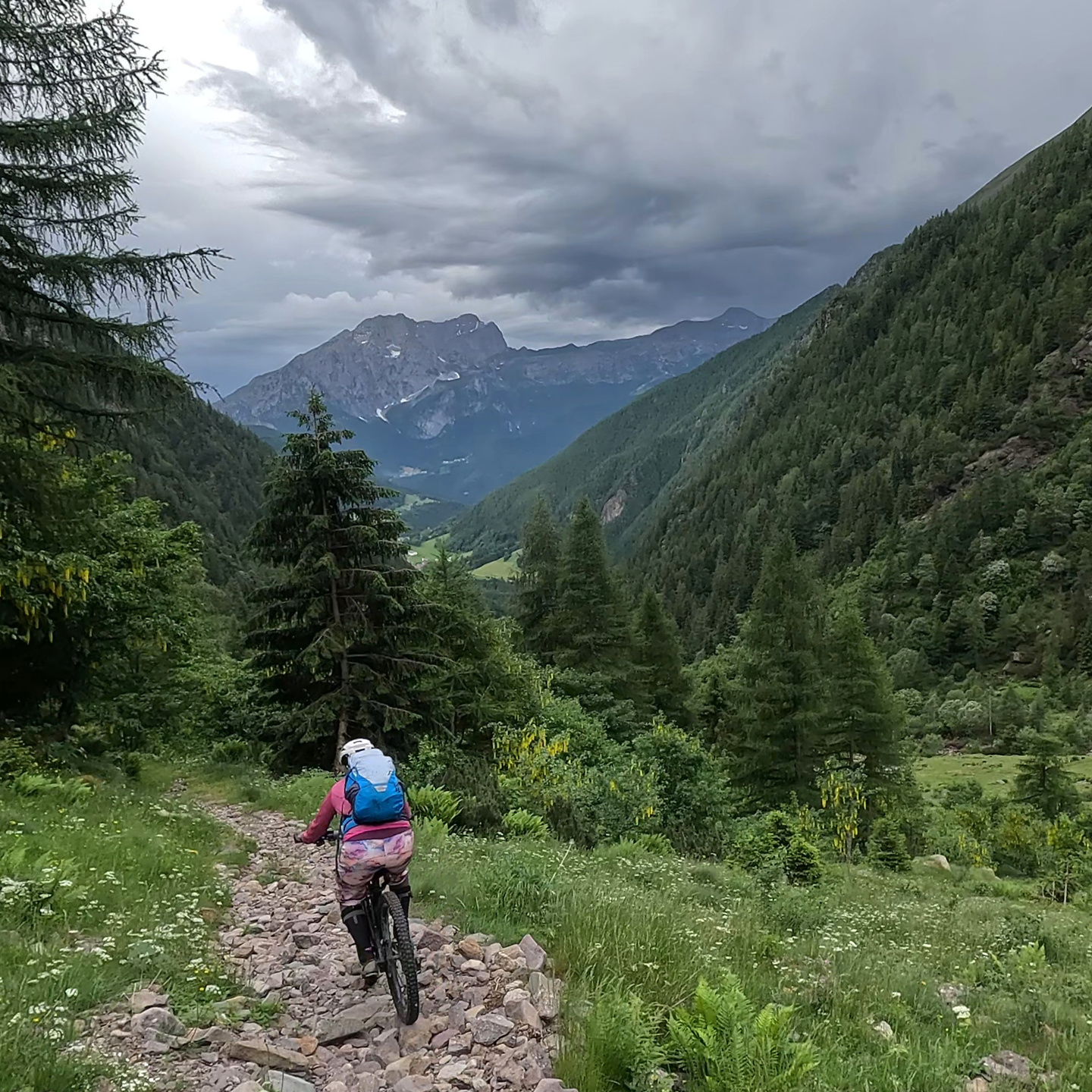gatto-trail15.jpg