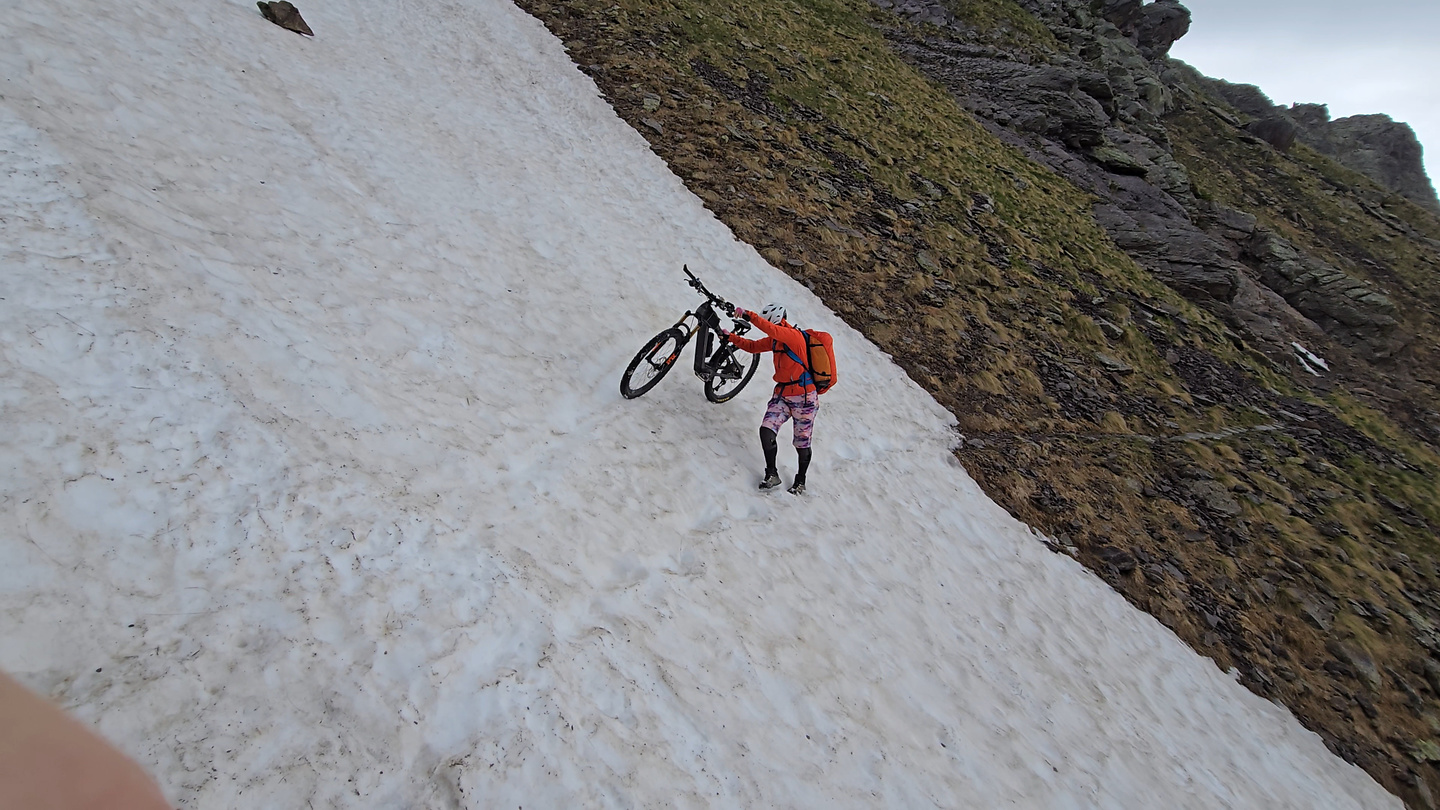 gatto-trail4.jpg