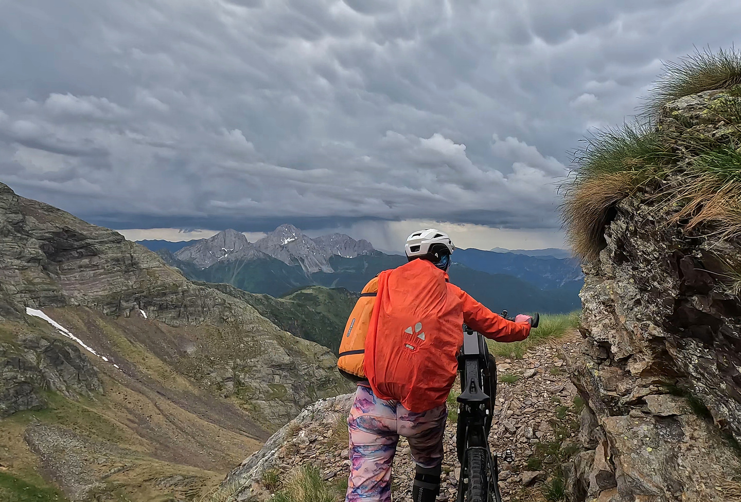 gatto-trail7.jpg