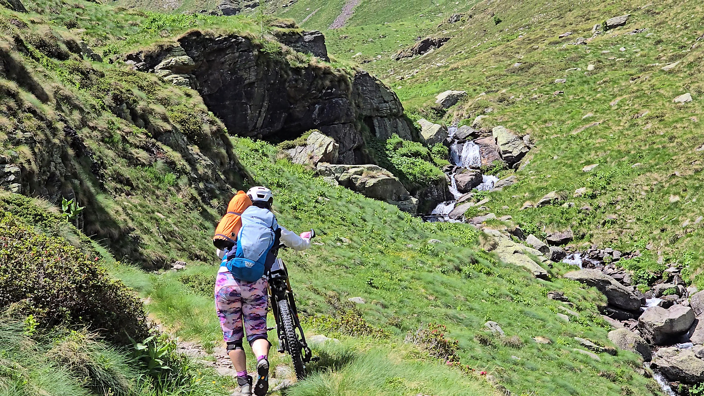 gatto-uphill2.jpg