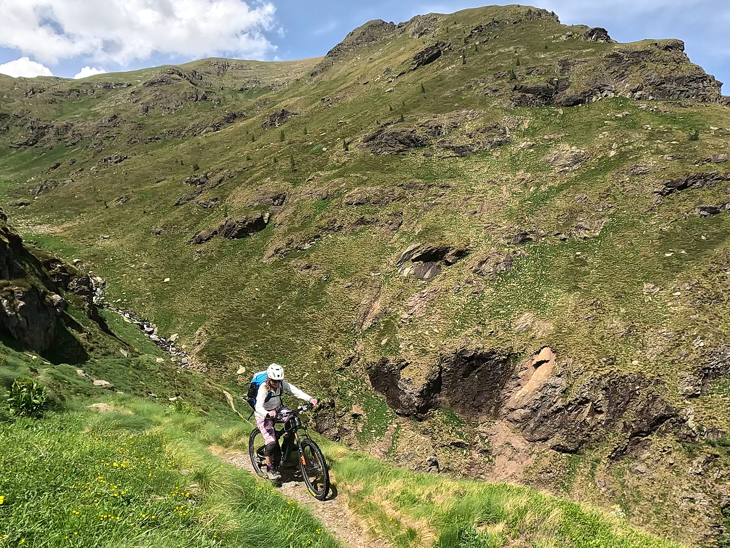 gatto-uphill4.jpg