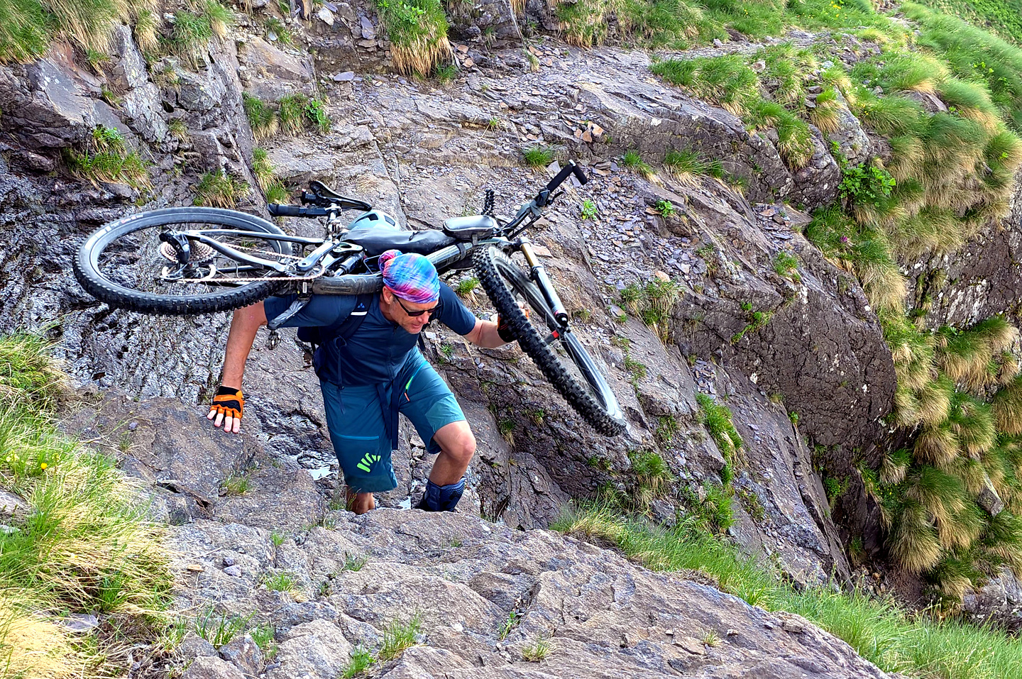 gatto-uphill6.jpg