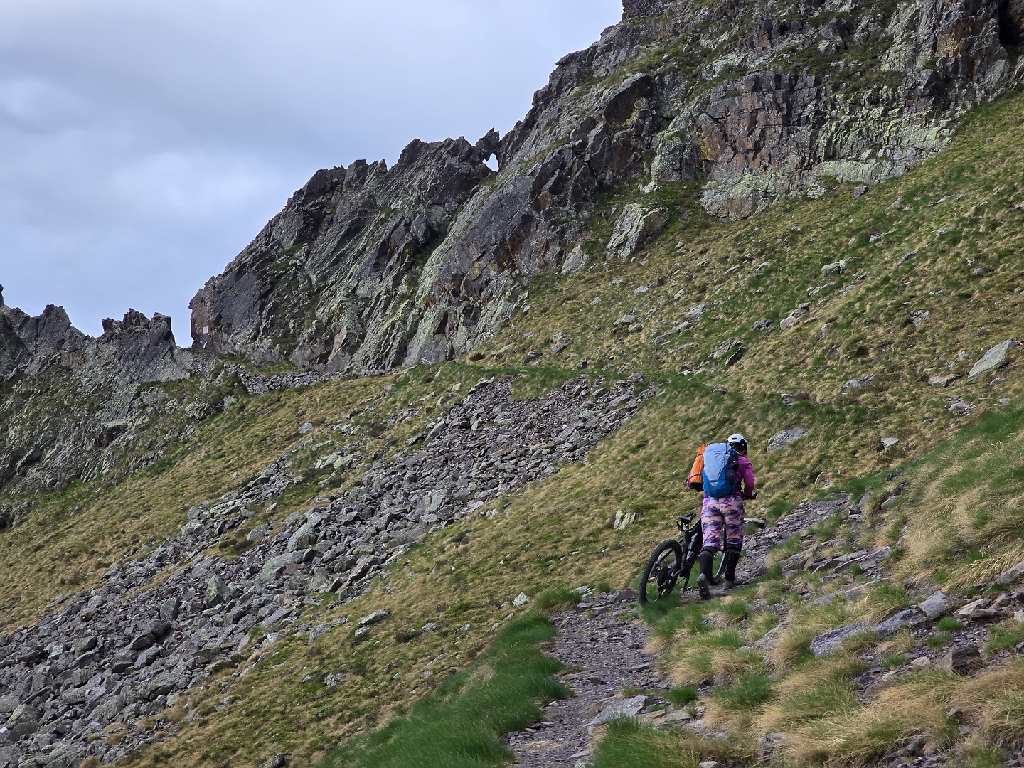 gatto-uphill9.jpg