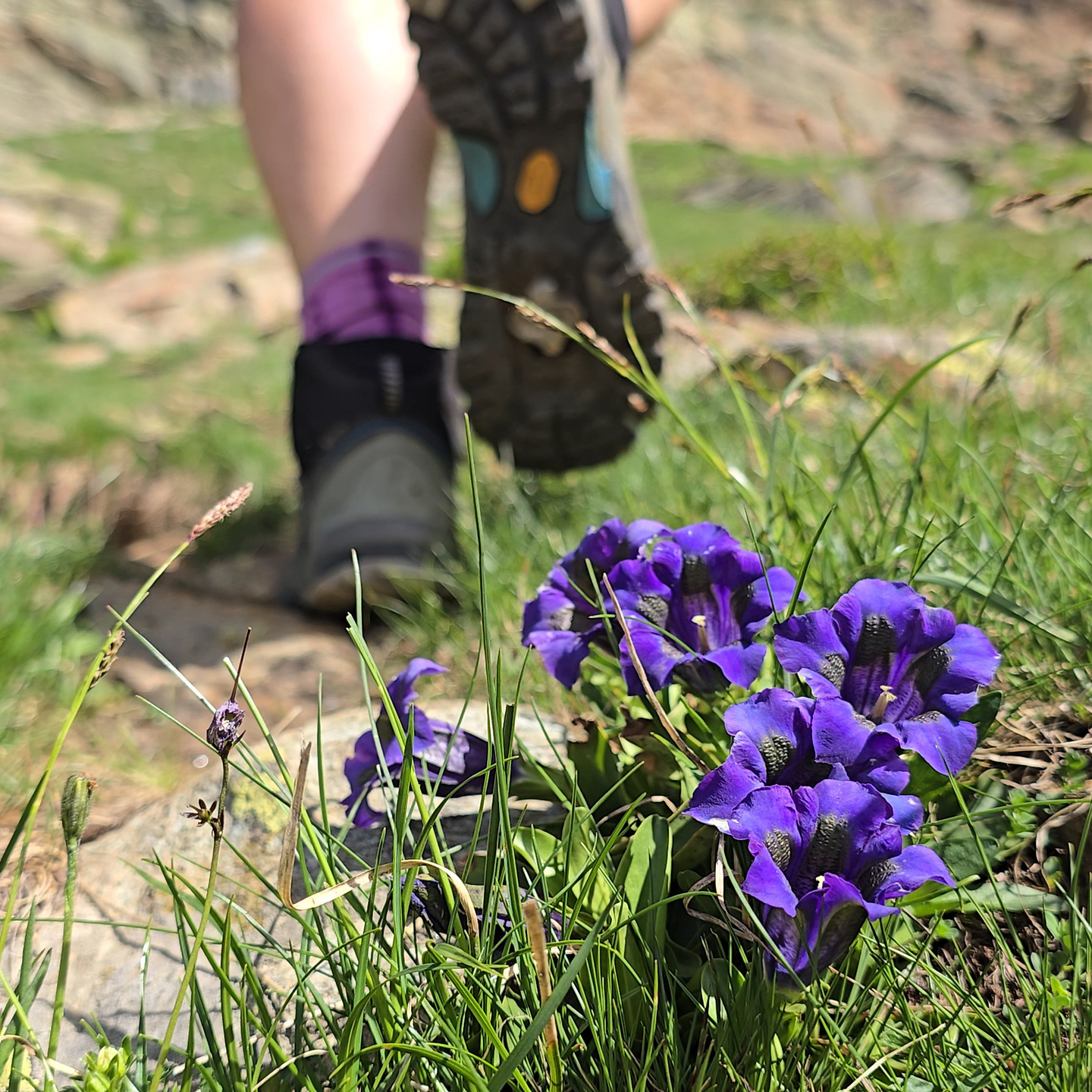 geisspfad-hike8.jpg