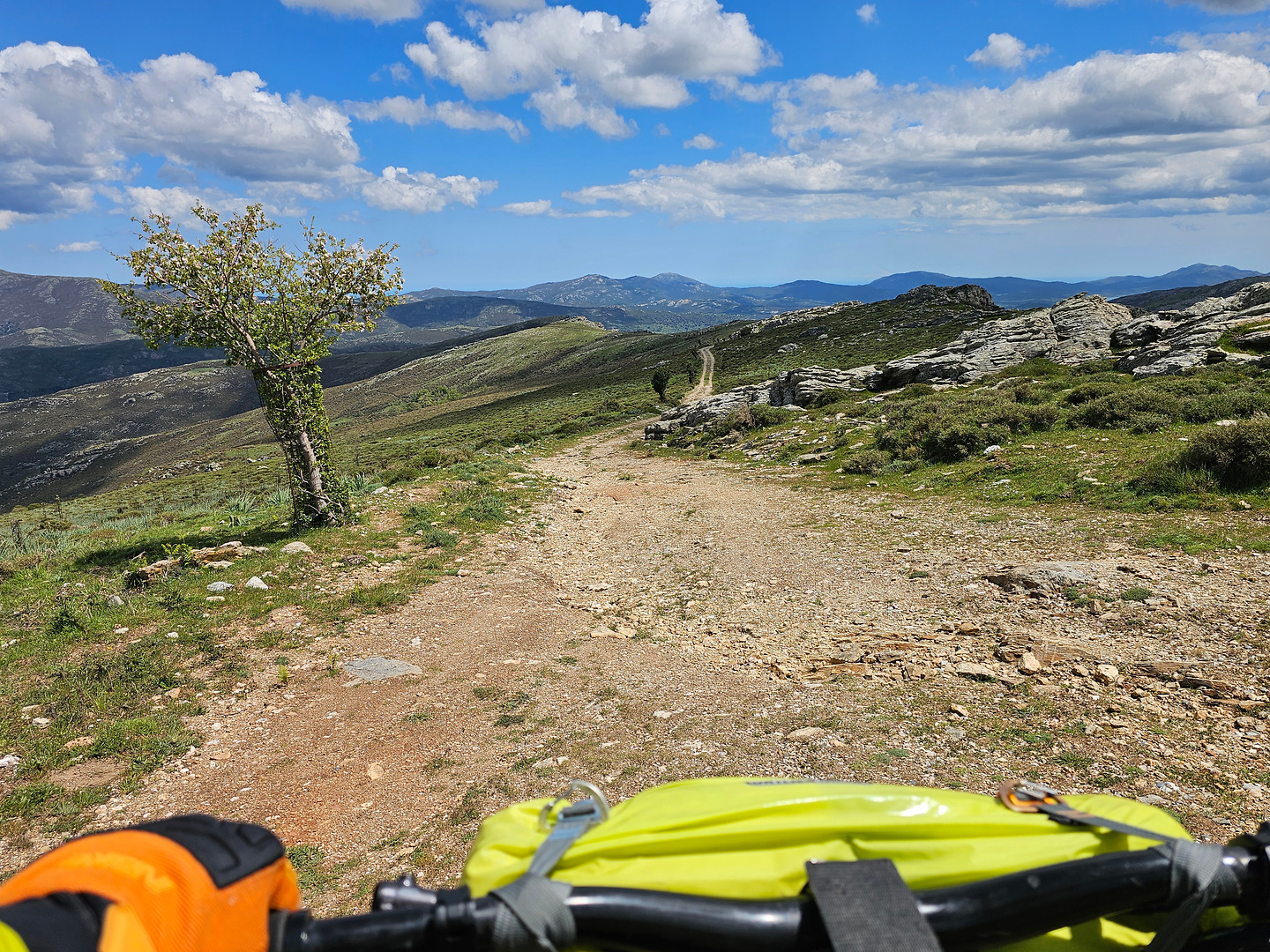 gennargentu-trail1.jpg