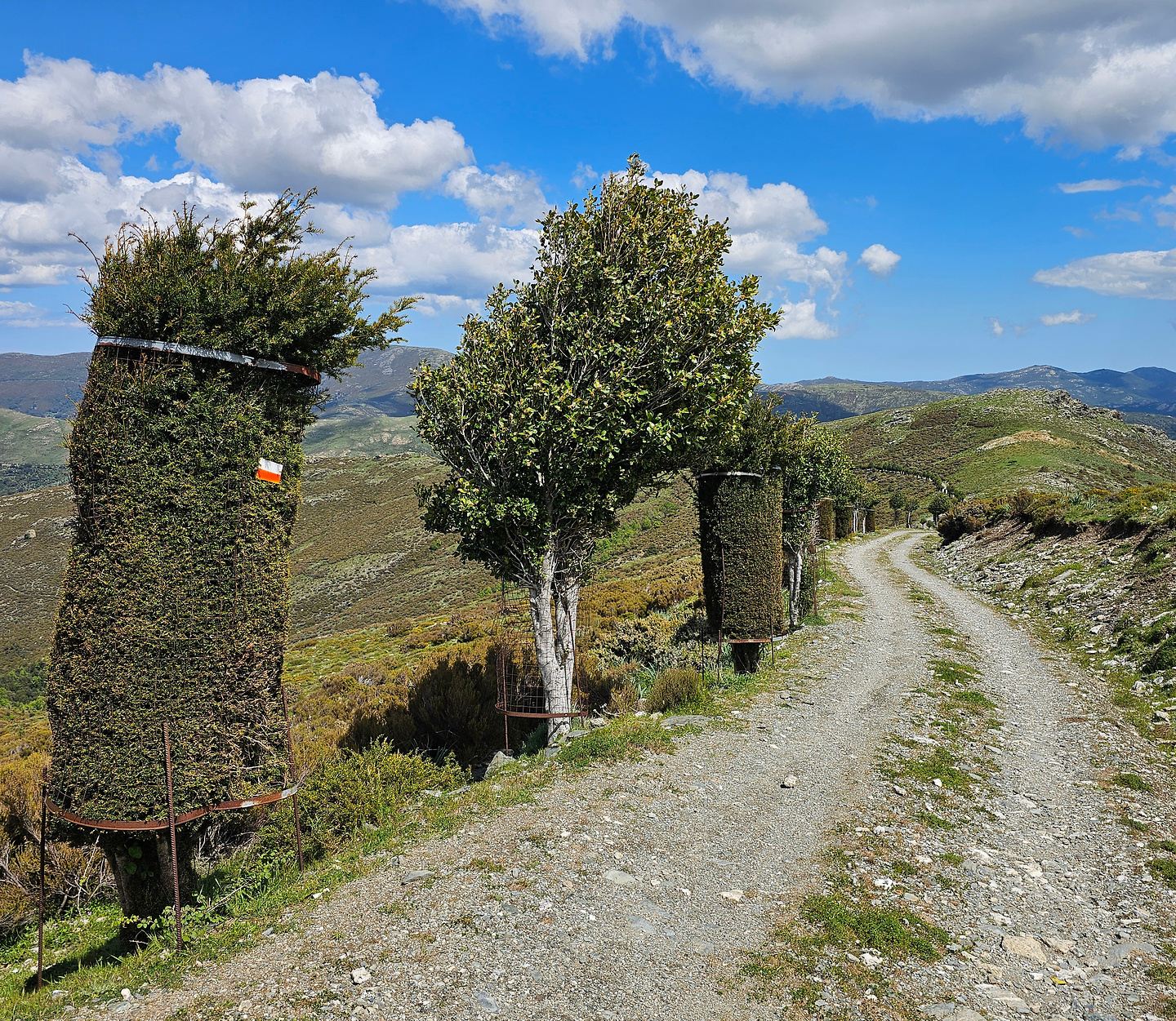 gennargentu-trail2.jpg