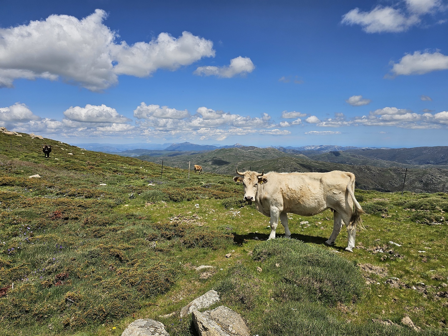 gennargentu-uphill8.jpg