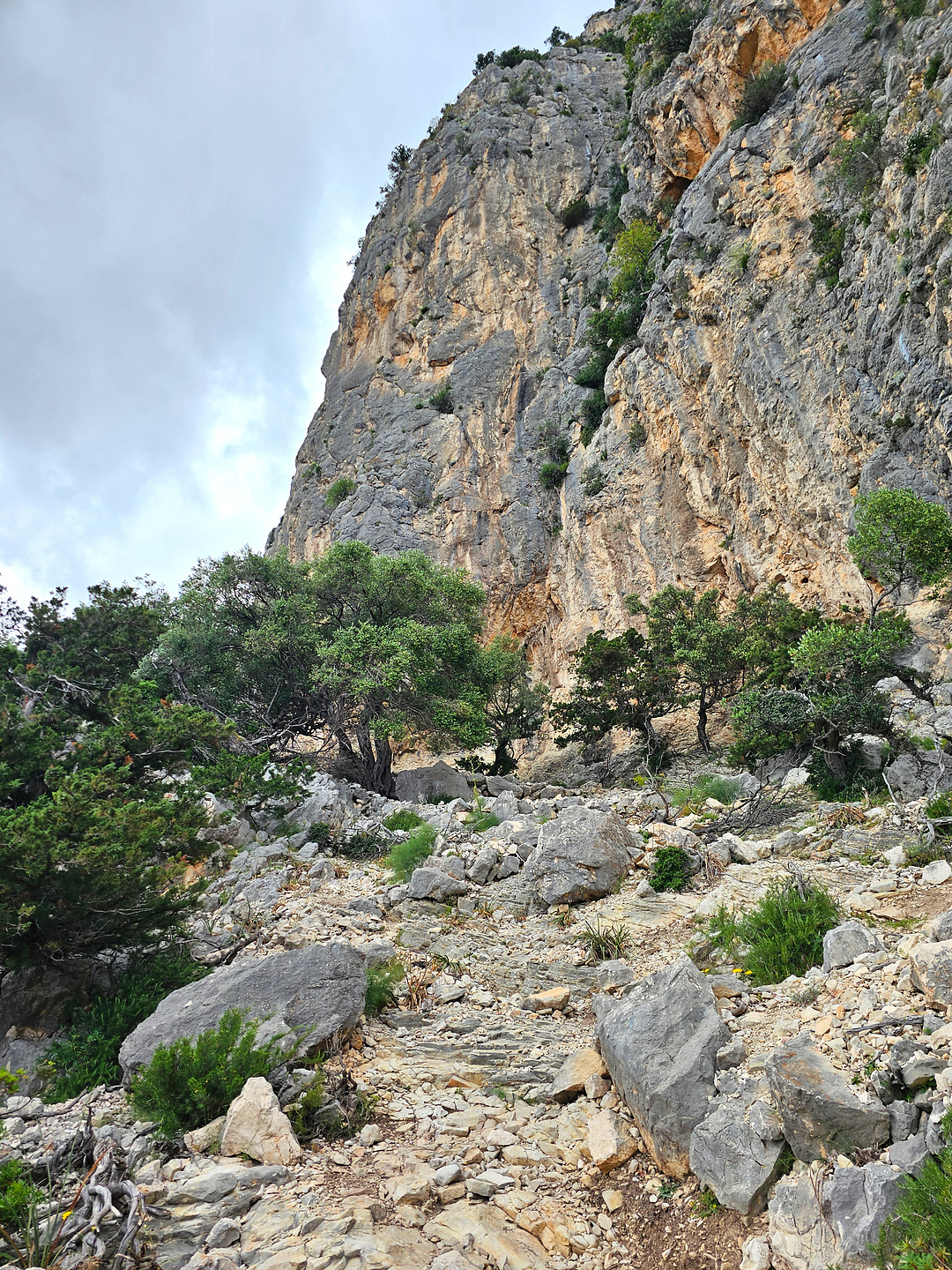 giradili-trail15.jpg