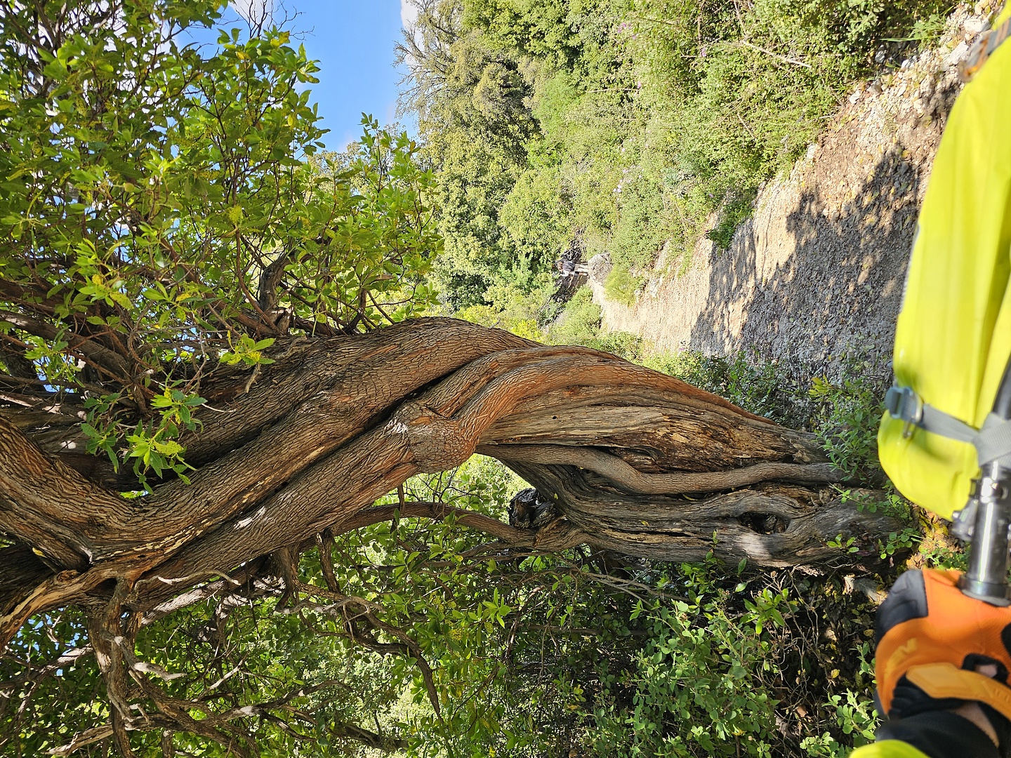 gorropu-trail4.jpg