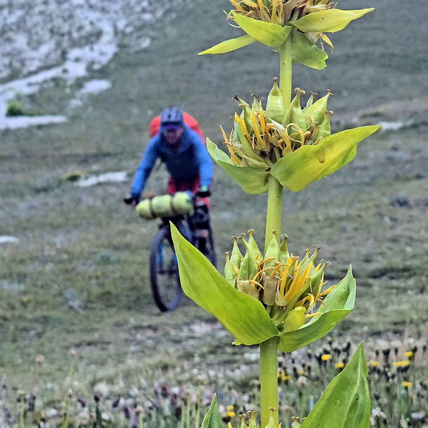 gransasso-trail2.jpg