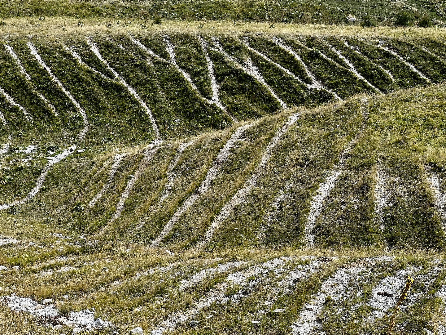 infernaccio-trail2.jpg