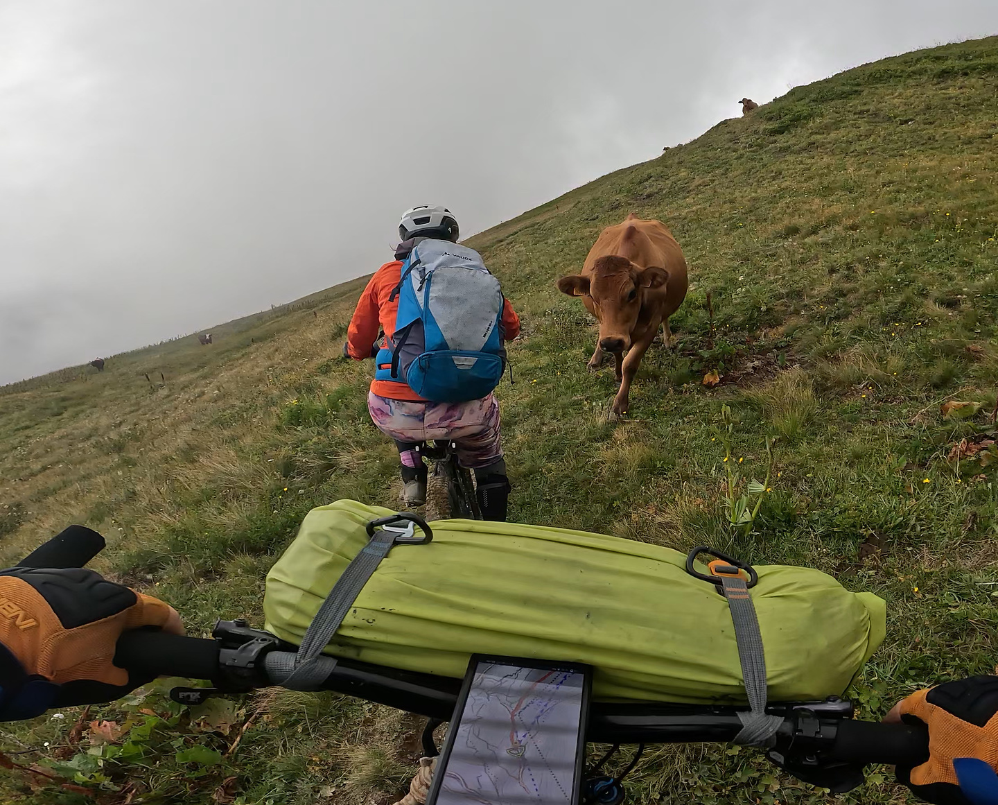 jovet-trail2.jpg