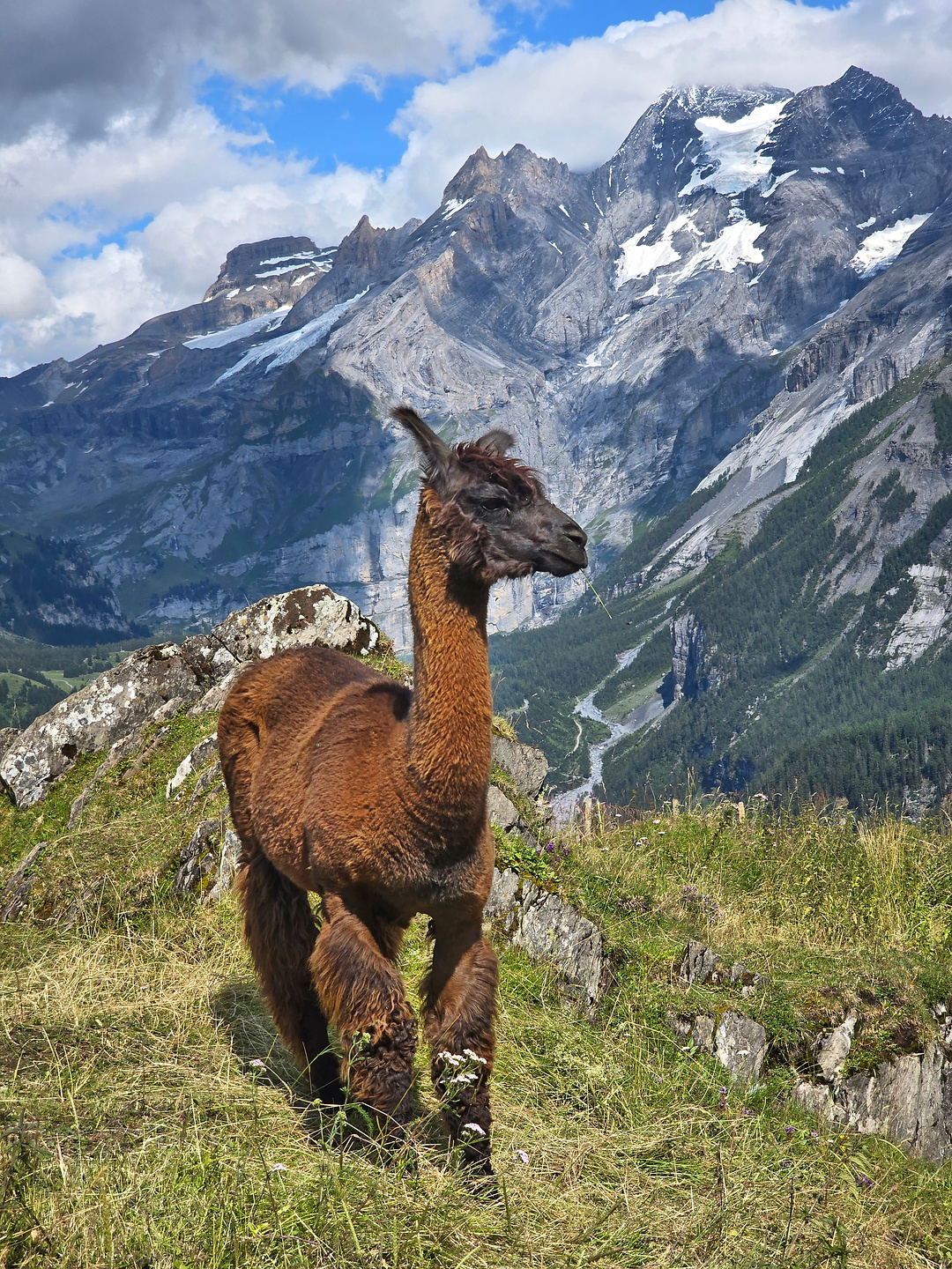 kandersteg-ferrata18.jpg