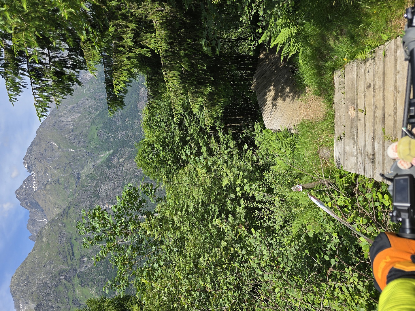 lizzola-trail2.jpg