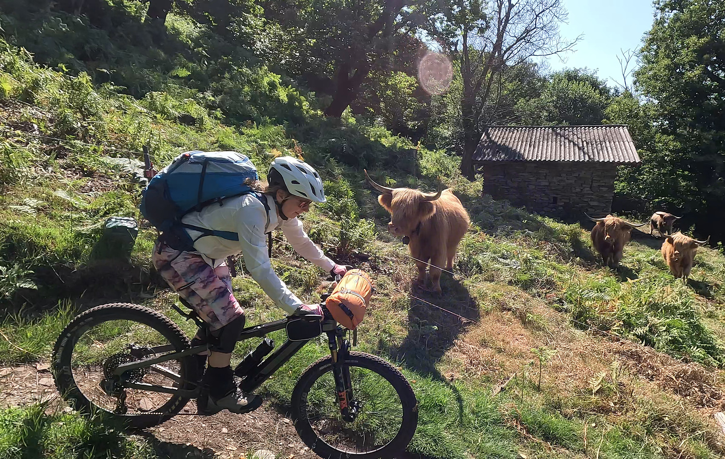 locarno-trail2.jpg