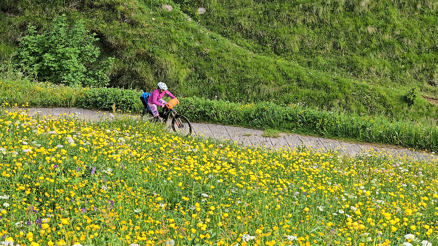 manina-uphill1.jpg