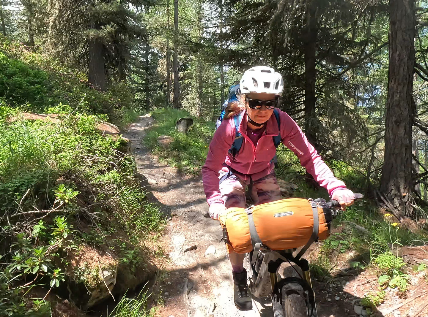 moosalp-trail1.jpg