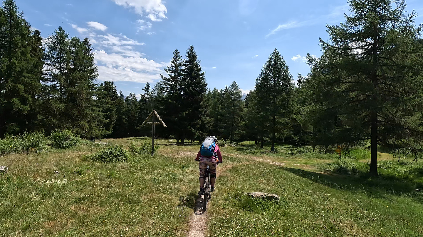 moosalp-trail2.jpg