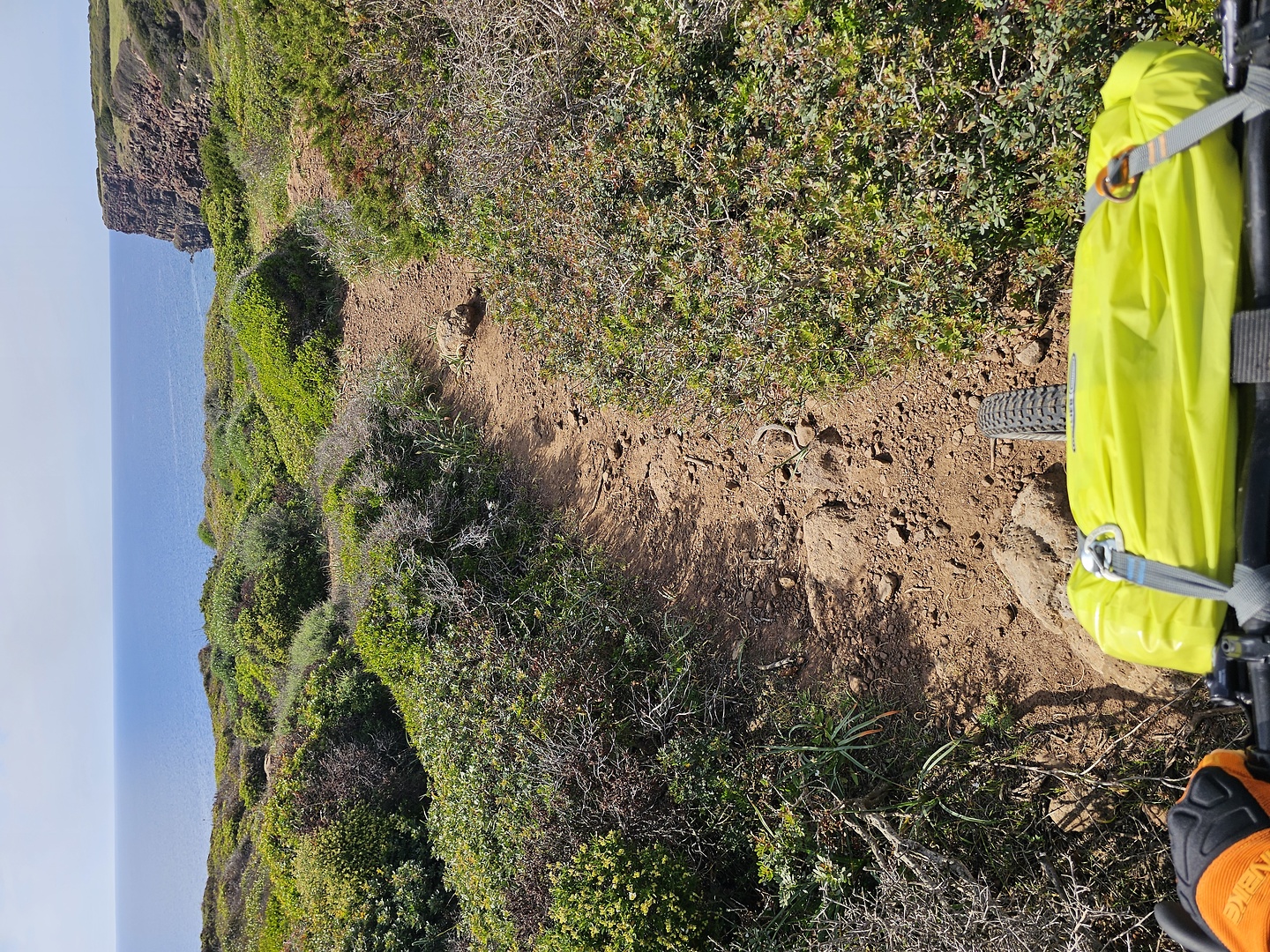 nieddu-trail3.jpg