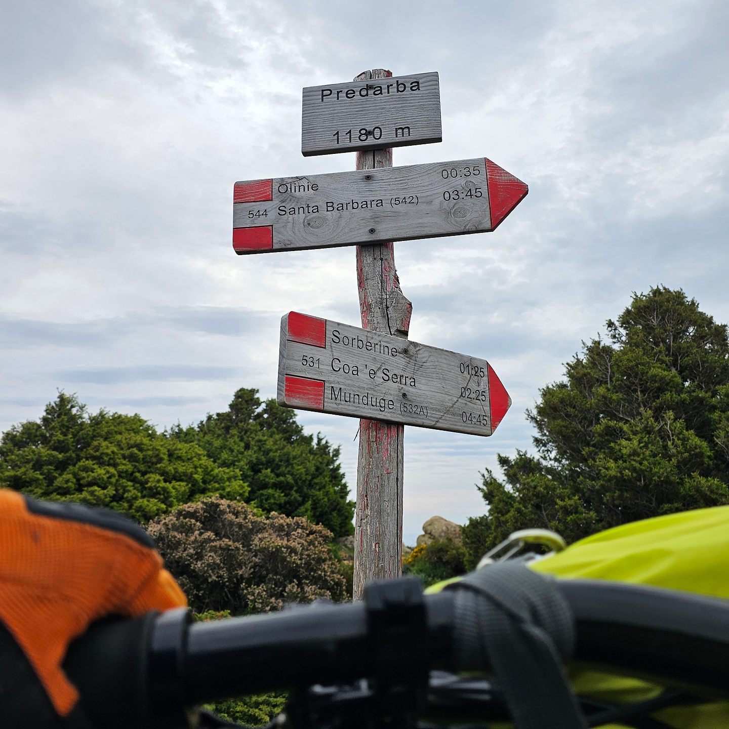 olinie-trail0.jpg