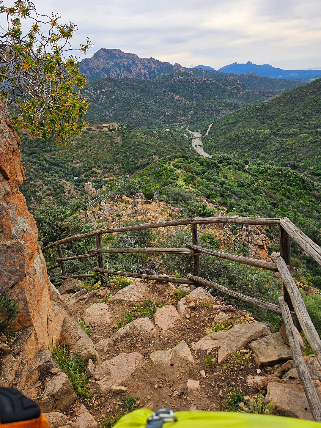 olinie-trail11.jpg